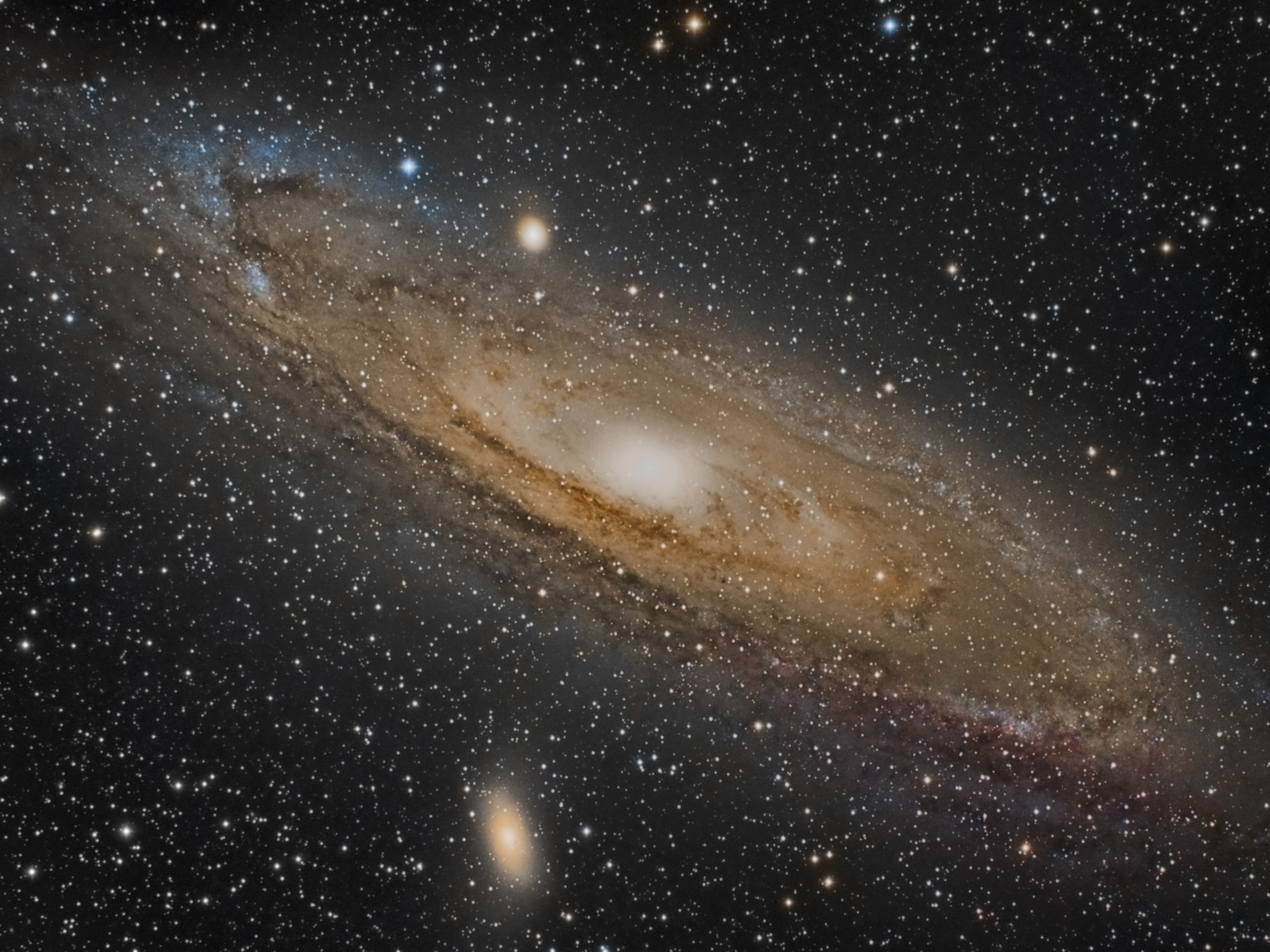 M31