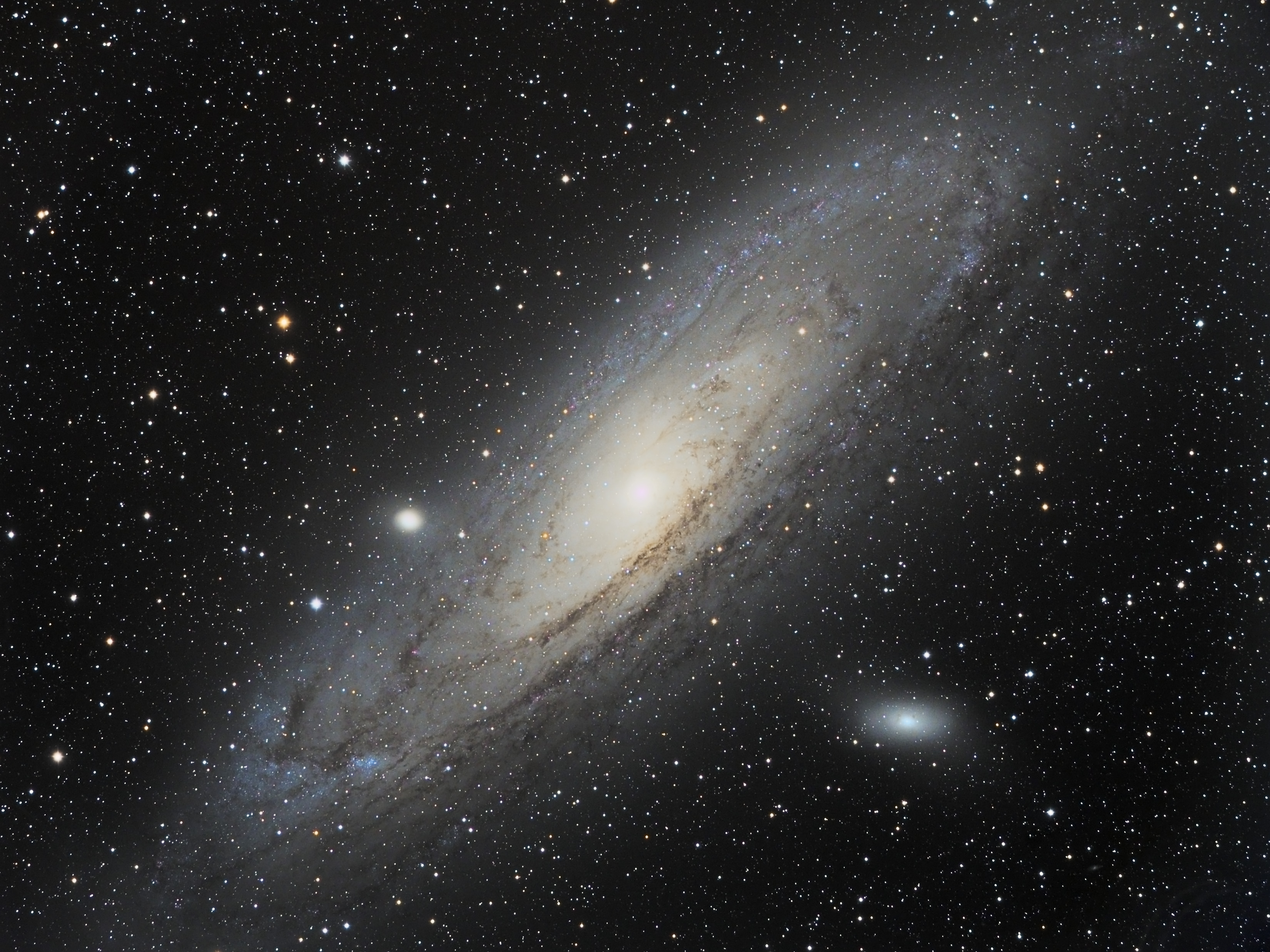 M31