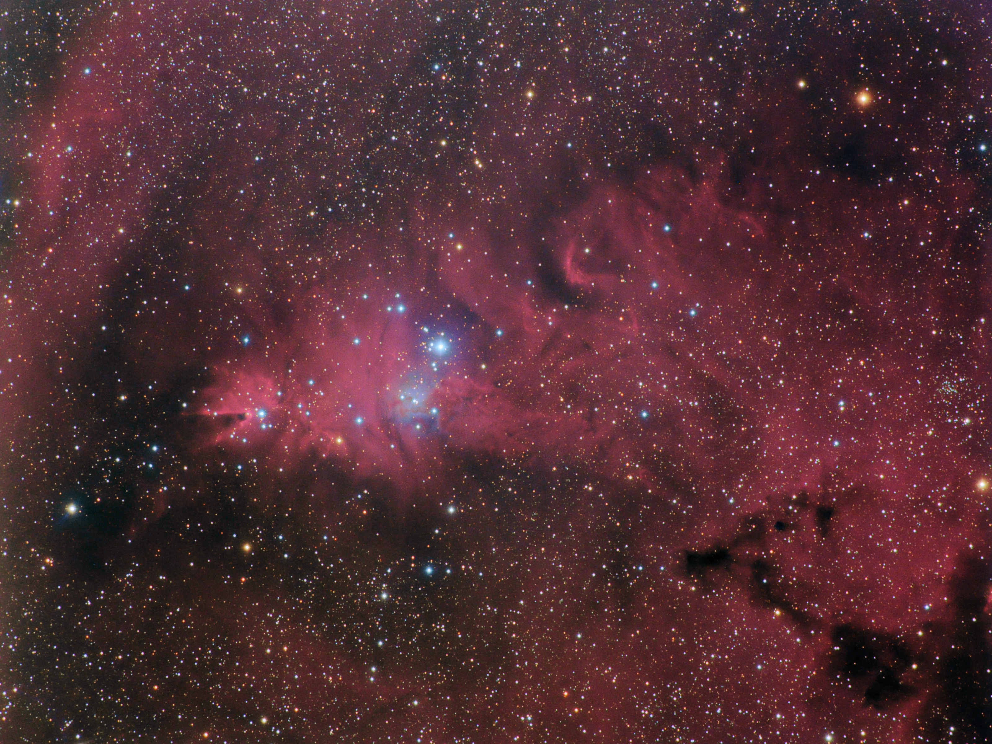 NGC2264