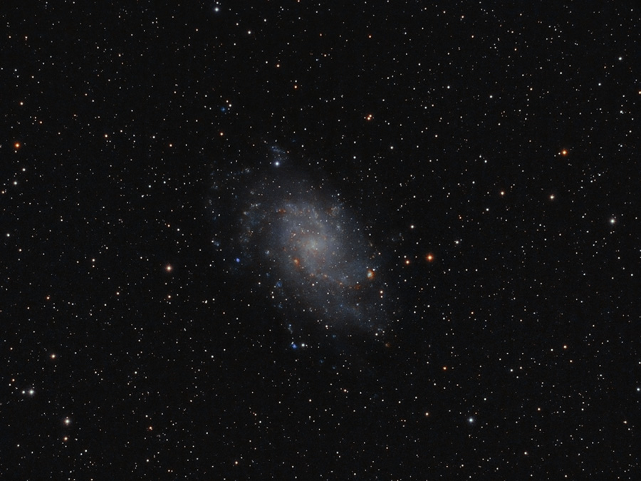 M33