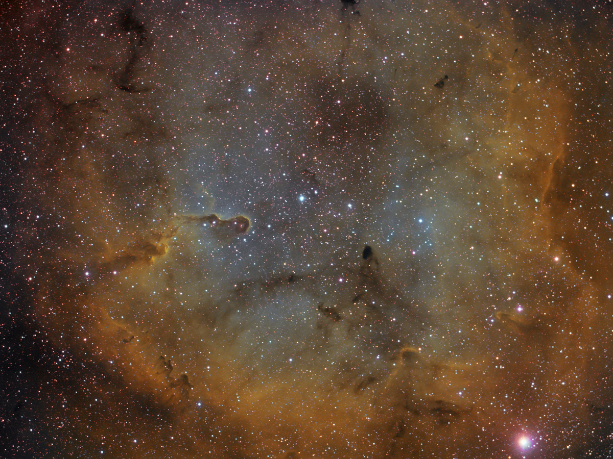 IC1396