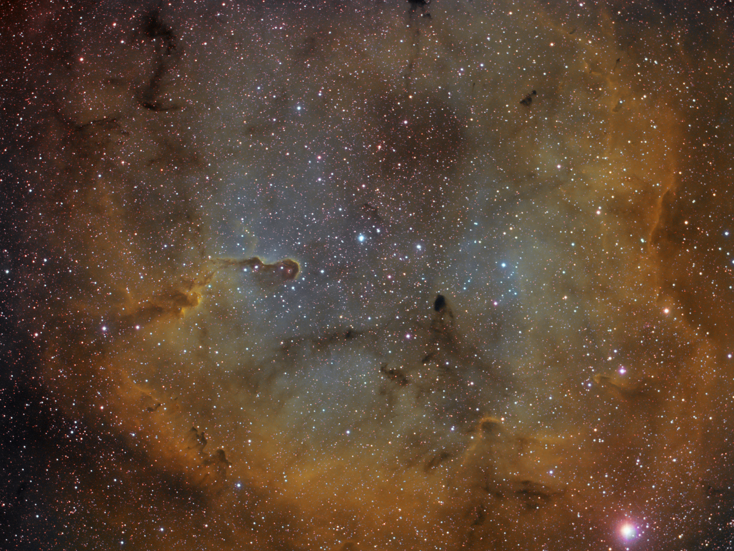 IC1396