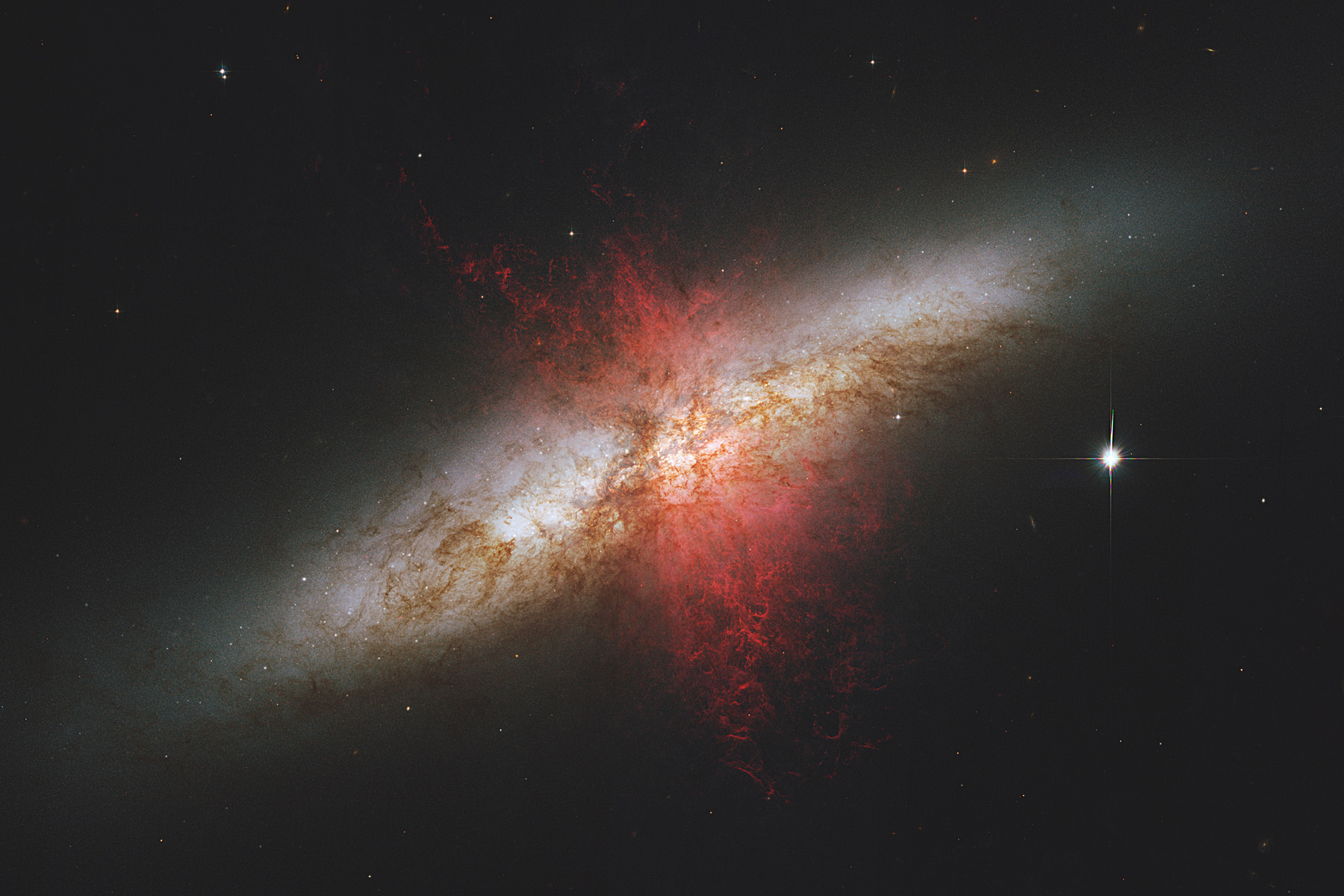 M82