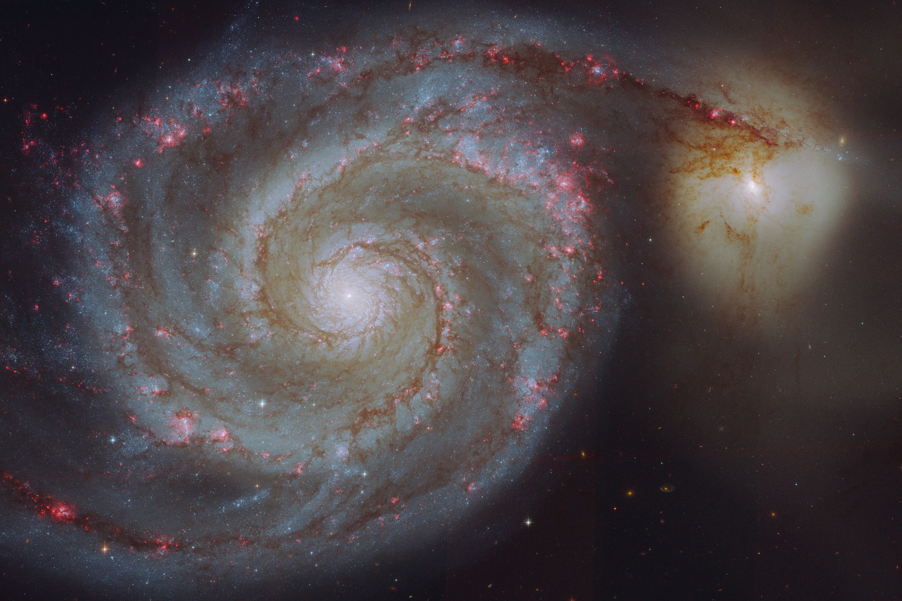 M51