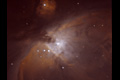 M42. Nebulosa d'Orió