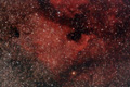 NGC7000. Nebulosa Nord-Amèrica