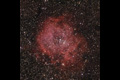 NGC2244. Nebulosa de la Rosa