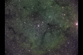 IC1396