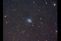 NGC1333