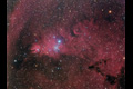 NGC2264