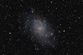 M33