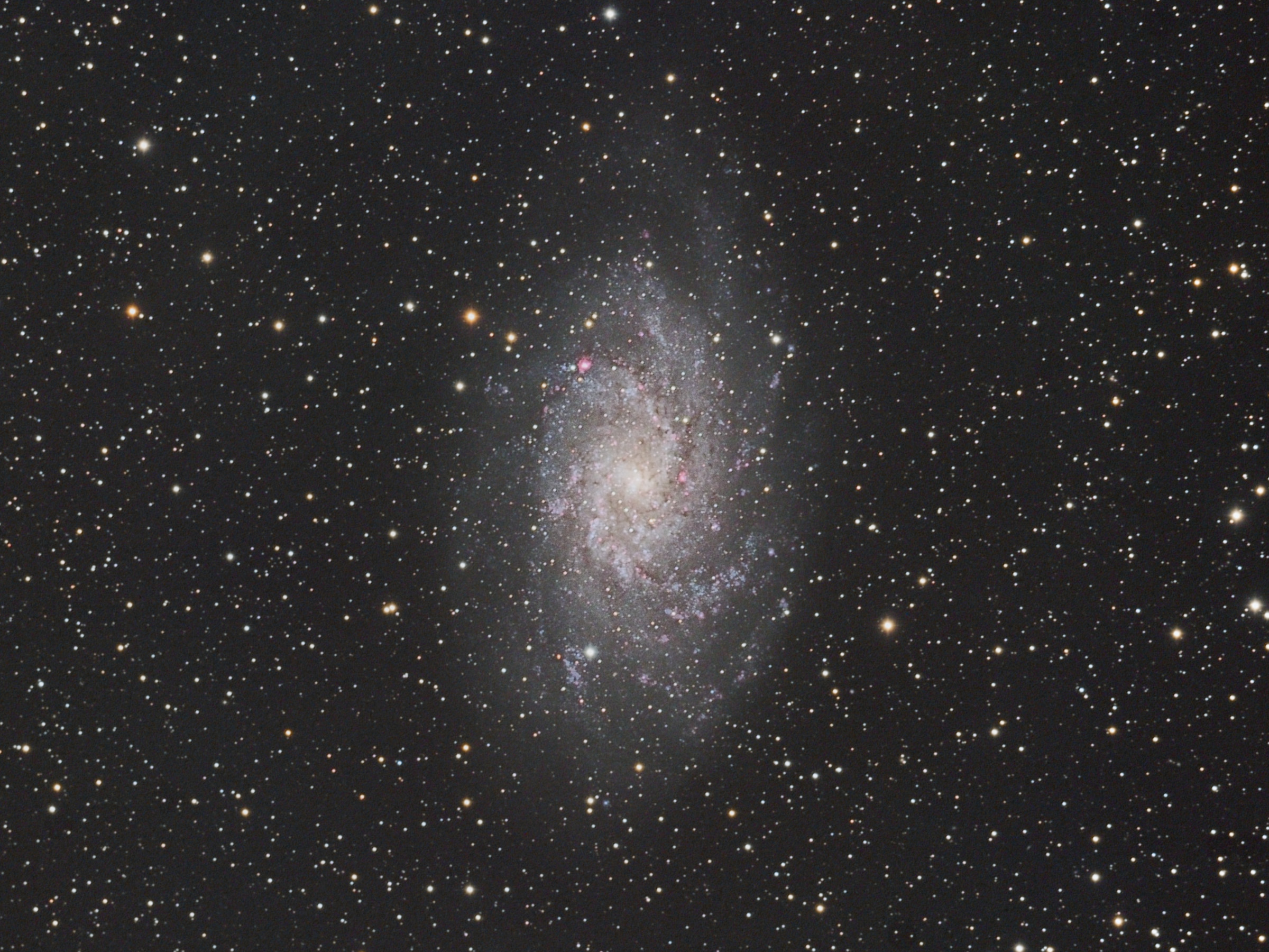 M33