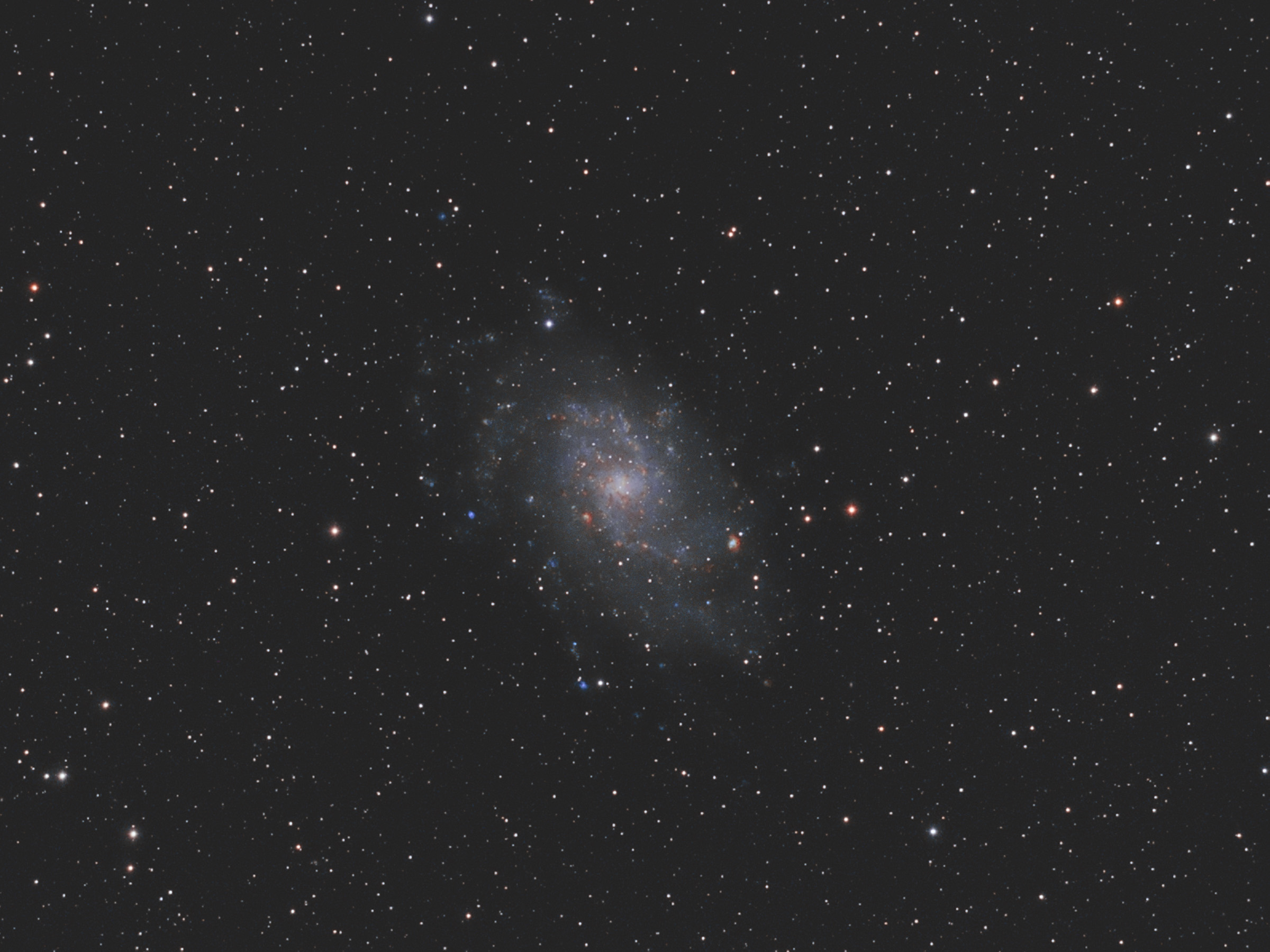 M33